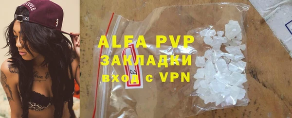 индика Алексин
