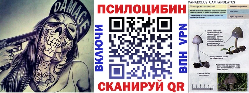 гидра ТОР  Новоаннинский  Галлюциногенные грибы Psilocybe 